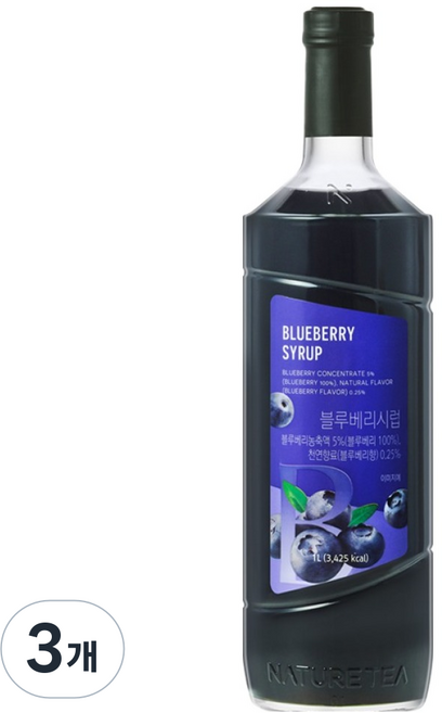 네이쳐티 블루베리시럽, 3개, 1L