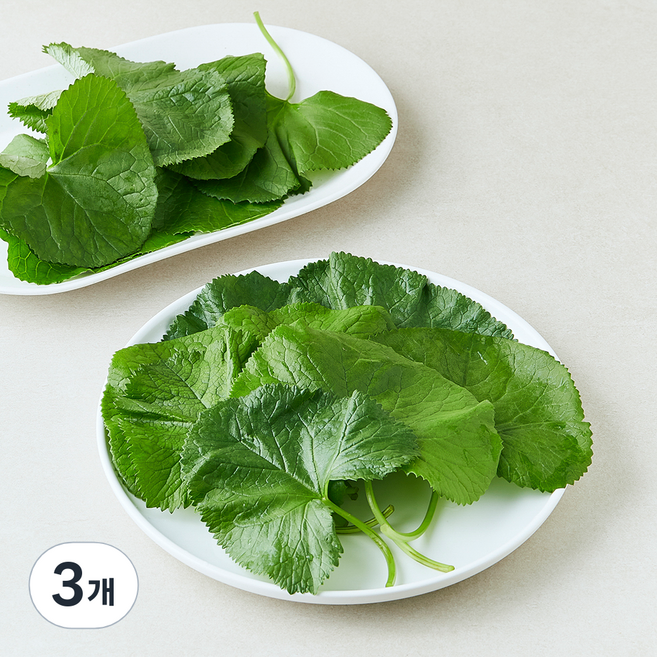 양촌 곰취, 90g, 3개