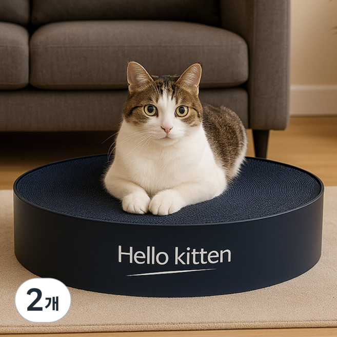 헬로키튼 고양이 프리미엄 스크래쳐, 블랙, 2개