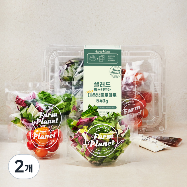 팜플래닛 샐러드 믹스키트와 컬러 대추방울 토마토, 2개, 540g