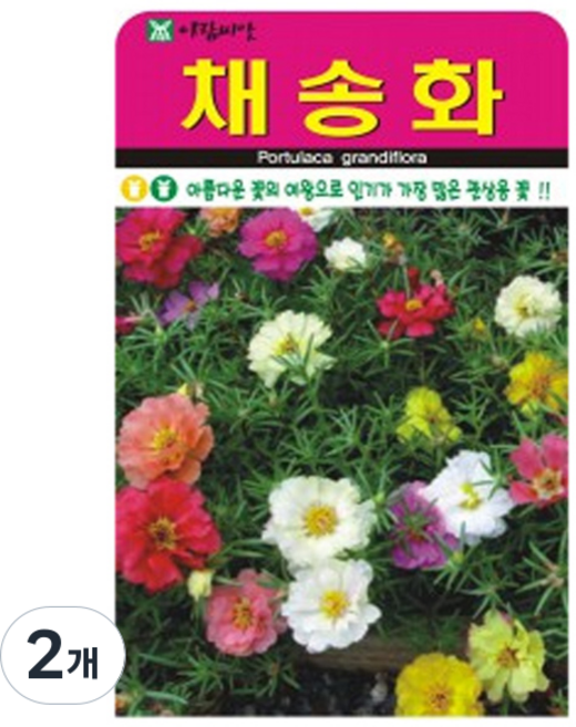 아람종묘 채송화 꽃 씨앗 5000p, 2개