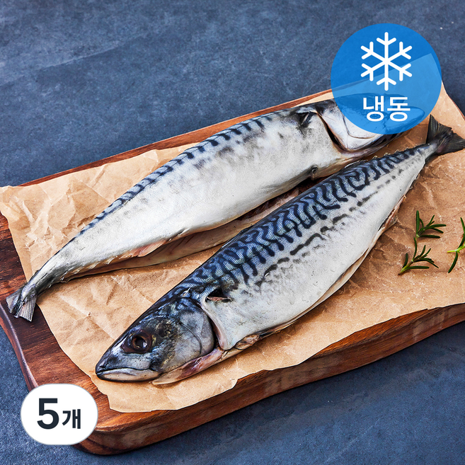 고등어청년 자반고등어 (냉동), 5개, 700g(미 당 350g 내외)