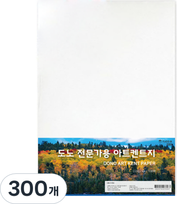 투코비 도노 전문가용 아트켄트지 220g, 300개