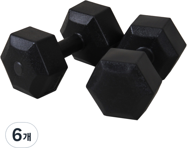 이고진 블랙육각 덤벨 아령, 2kg, 6개