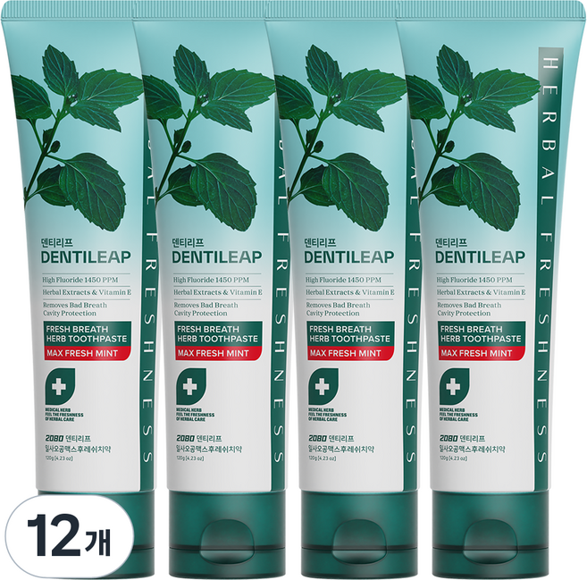 2080 덴티리프 일사오공맥스 후레쉬치약, 120g, 12개