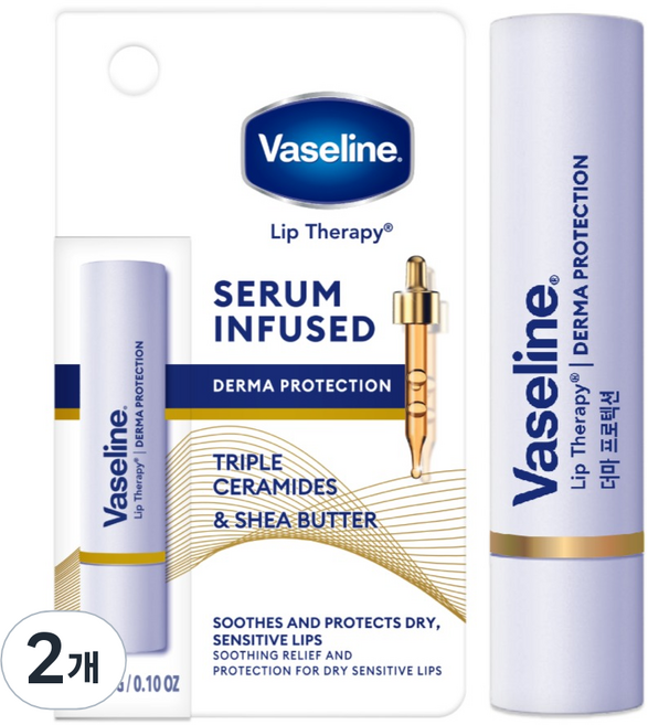 바세린 립 테라피 더마 프로텍션 립밤, 무색, 3g, 2개