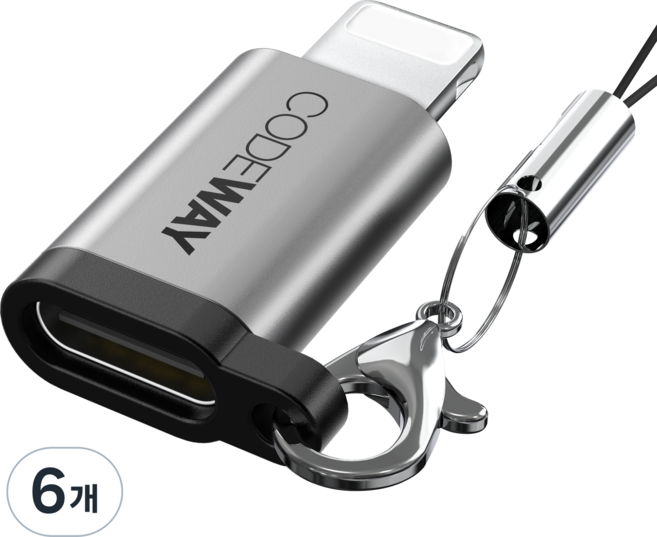 코드웨이 USB A otg 변환젠더 C타입, OTG-C-to-8pin, 6개