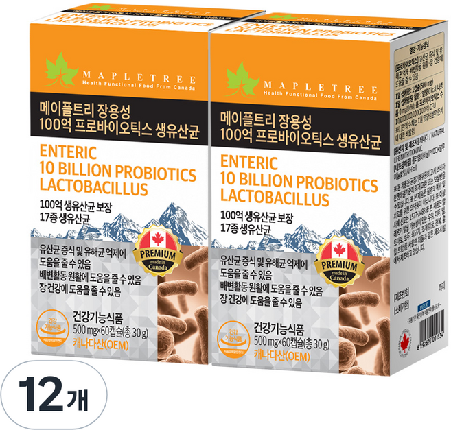 메이플트리 장용성 100억 프로바이오틱스 생유산균, 12개, 60정