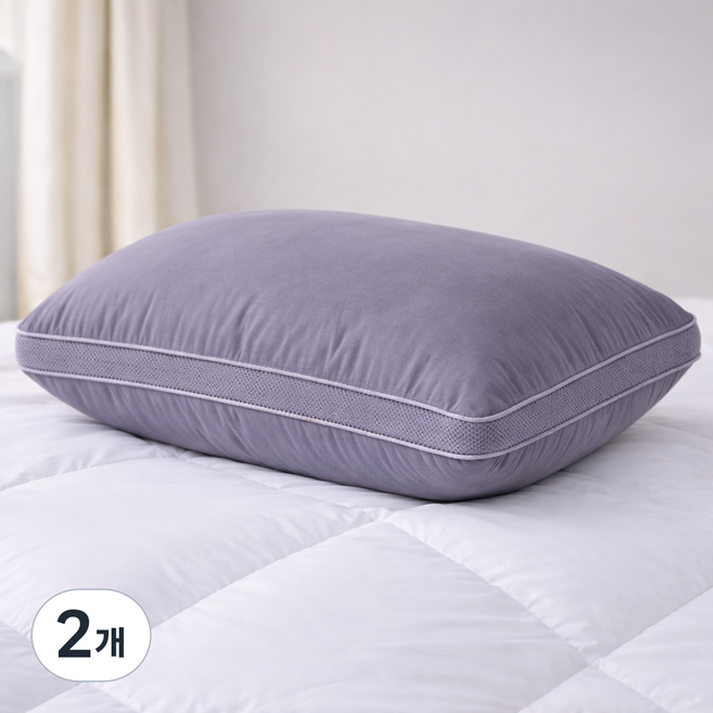 휴가드 통세탁 마이크로필에버 더블라인 3D 입체 에어매쉬 베개, 그레이, 2개