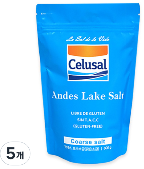 셀루살 안데스호수 굵은소금 지퍼백, 600g, 5개
