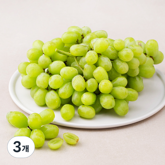 선우 칠레산 씨없는 청포도, 1.2kg, 3개