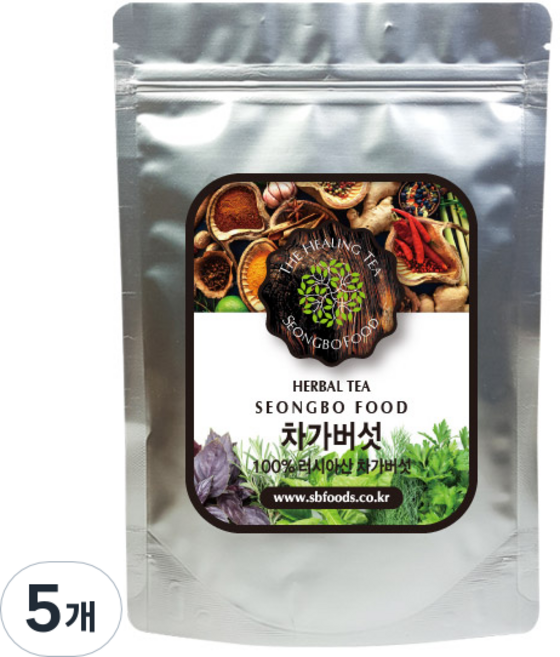 성보식품 차가버섯, 100g, 5개