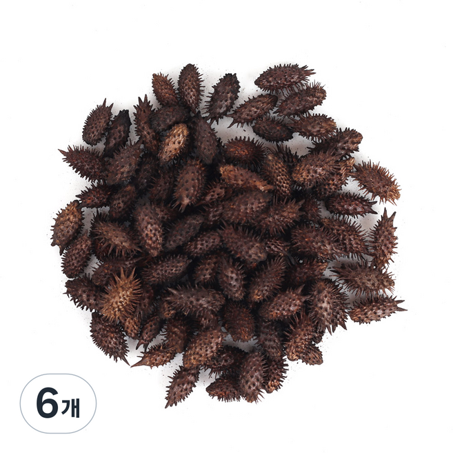 신선약초 볶은 도꼬마리 건강식품, 6개, 200g