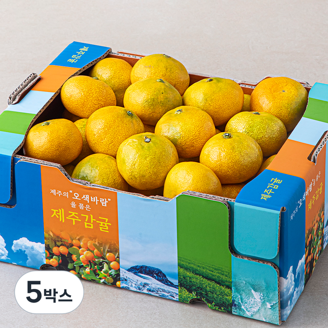 오색바람 감귤 랜덤과, 3kg, 5박스