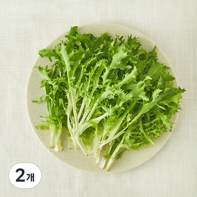 유기농 치커리, 2개, 100g