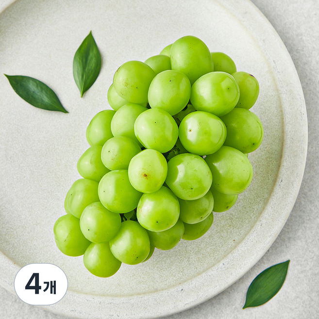산들이랑 비파괴당도선별 샤인머스캣, 500g, 4개