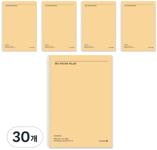 모닝글로리 1500 두달스터디플래너, 랜덤 발송, 30개