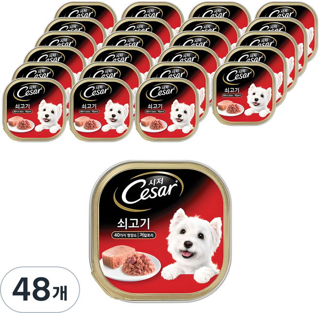 시저 1세 이상 강아지 주식캔, 소, 100g, 48개