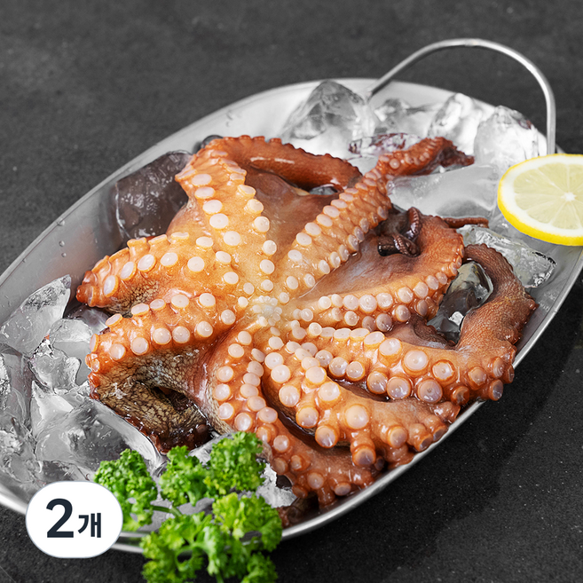 아라보감 국산 돌문어 생물 (냉장), 400g~600g, 2개