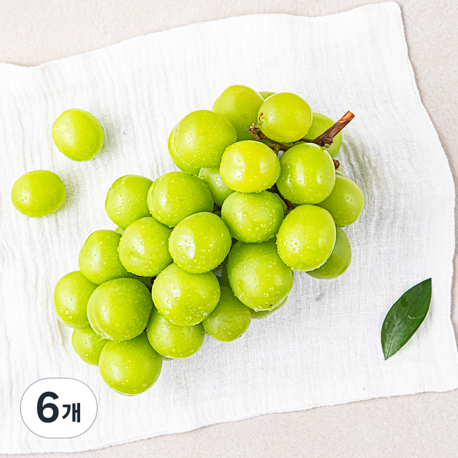 한반도 비파괴 당도선별 샤인머스캣, 500g, 6개