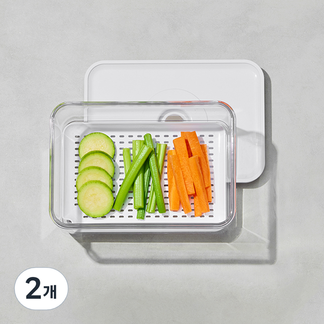 로이첸 아이바큠 제올 트레이 특대 D형, 2개, 단품