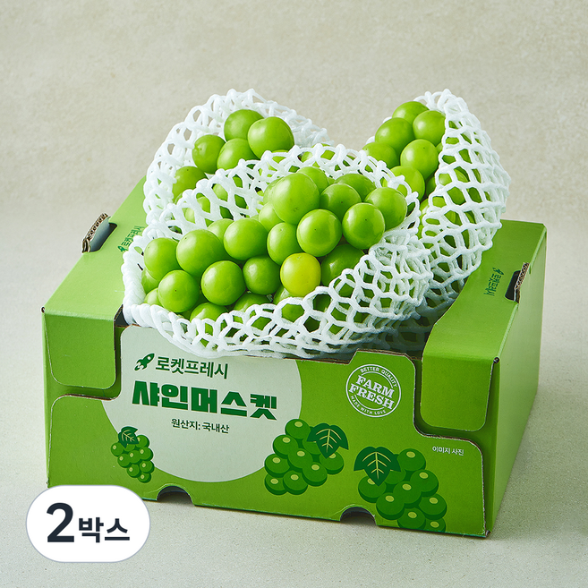 곰곰 샤인머스켓, 2박스, 2kg(2~4수)