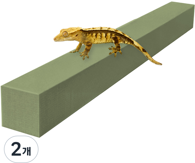 레몽크리프 도마뱀 파충류 크레스티드게코 EVA 고밀도백업 3 x 3 x 50 cm, 올리브, 2개
