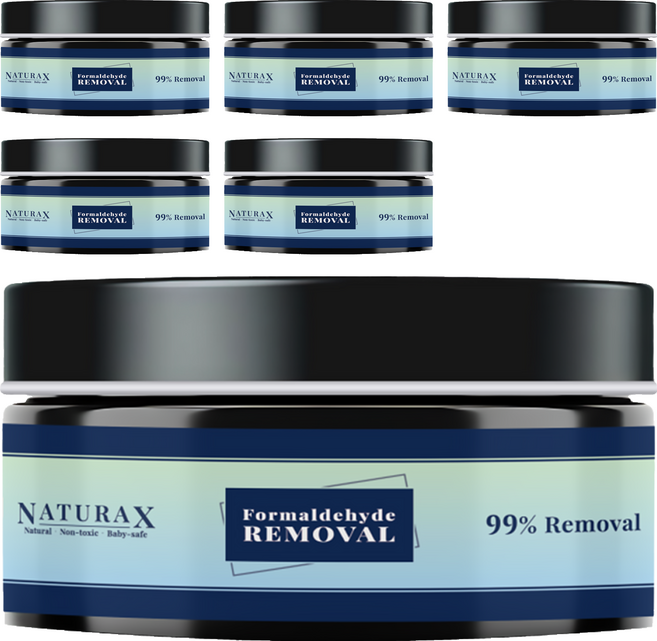 NATURAX 淨立方 天然植萃除甲醛消臭凝膠, 100g, 6個