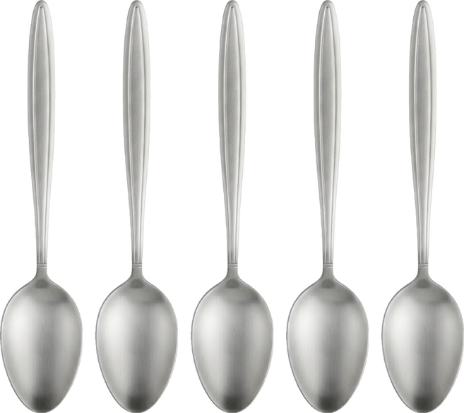 CLARE 大湯匙 晶鑽316, 銀色, 5支