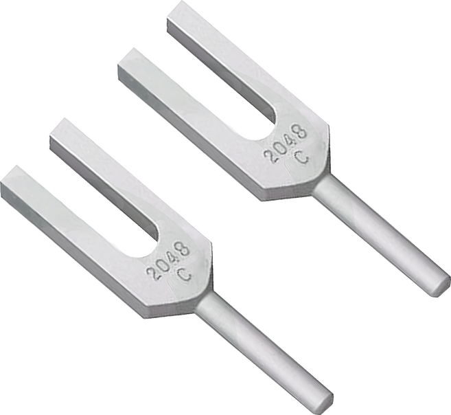 Spirit 精國 音叉, 2個