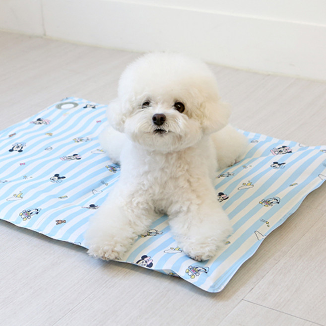 이츠독 반려동물 디즈니 프레쉬 쿨젤 매트, 프렌즈 블루, 1개