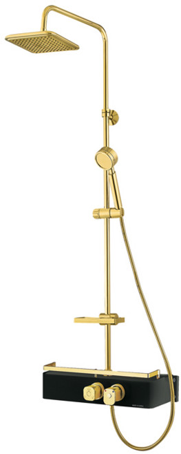 베로나 박스형 해바라기 레인샤워기 블랙 골드, 1개