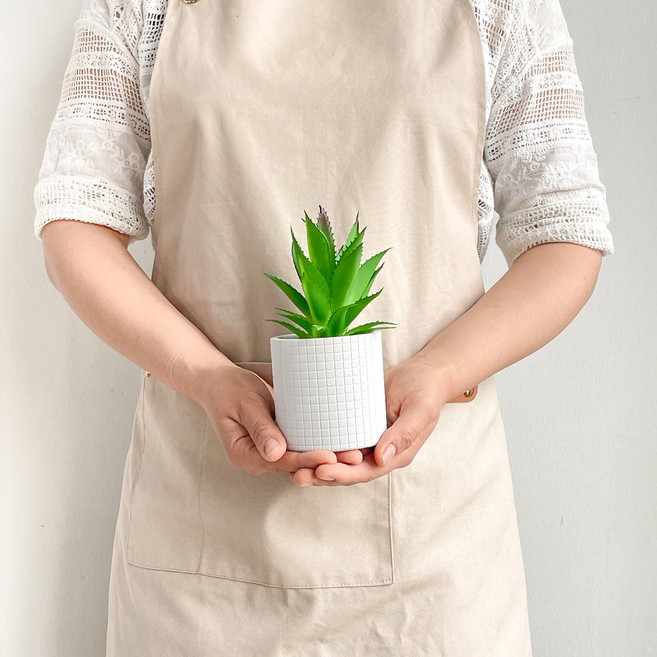 fresh garden 人造迷你蘆薈盆栽, 1個, 混合色