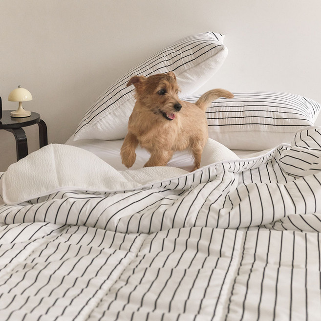 깃든 시어서커 반려동물 나란히 여름이불