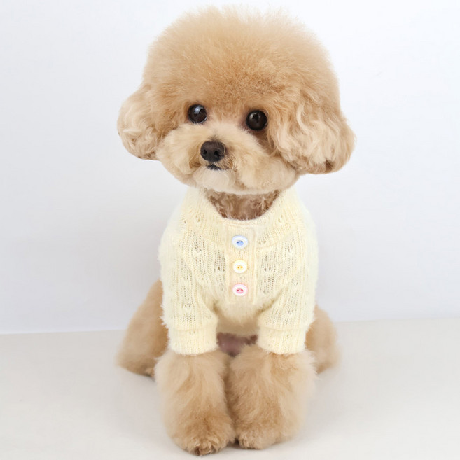 그루밍독 반려동물 옷 젤리단추 니트, 옐로우, 1개