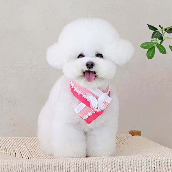 이츠독 반려동물 은나비 한복케이프, 핑크, 1개