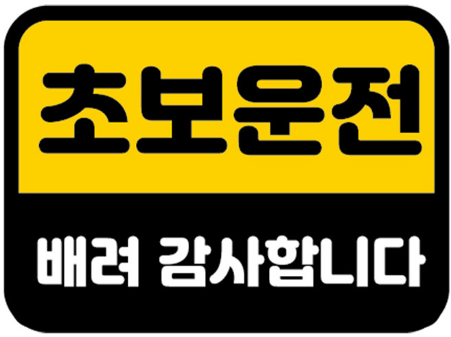 카마존 초보운전 반사 자석 스티커 직사각형타입, 배려, 1개