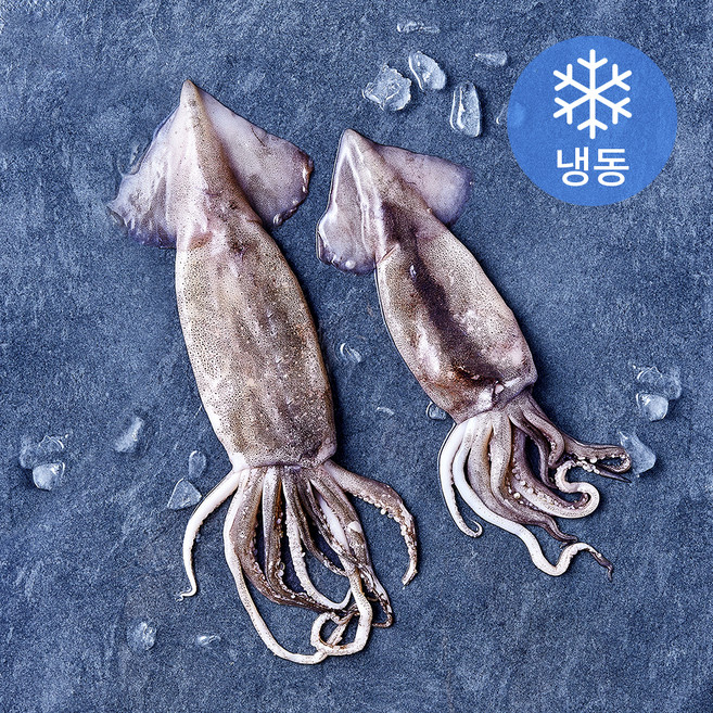 비비수산 살아있을때 깔끔하게 손질한 통오징어 (냉동), 1개, 270g(2미)