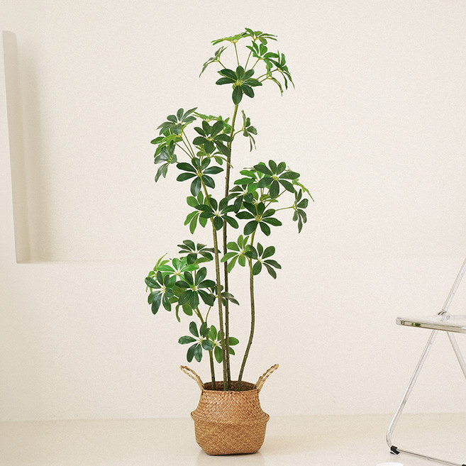 플라우스302 조화 홍콩야자 쉐프릴라 나무, 1개