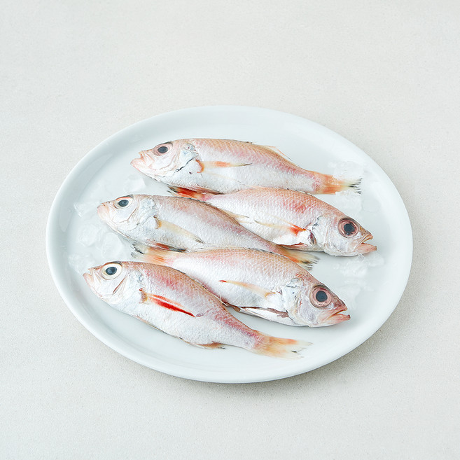 미감어보 국내산 손질 효온처리 통금태 (냉장), 1개, 300g(5미)