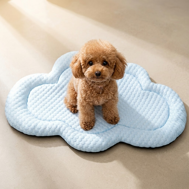 레몽크리프 반려동물 몽실구름 아이스쿨매트, 블루, 1개
