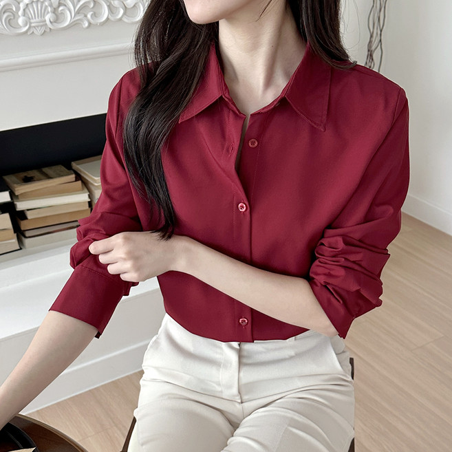 Lalaon 翻領基本款防皺長袖罩衫襯衫 TSP2866