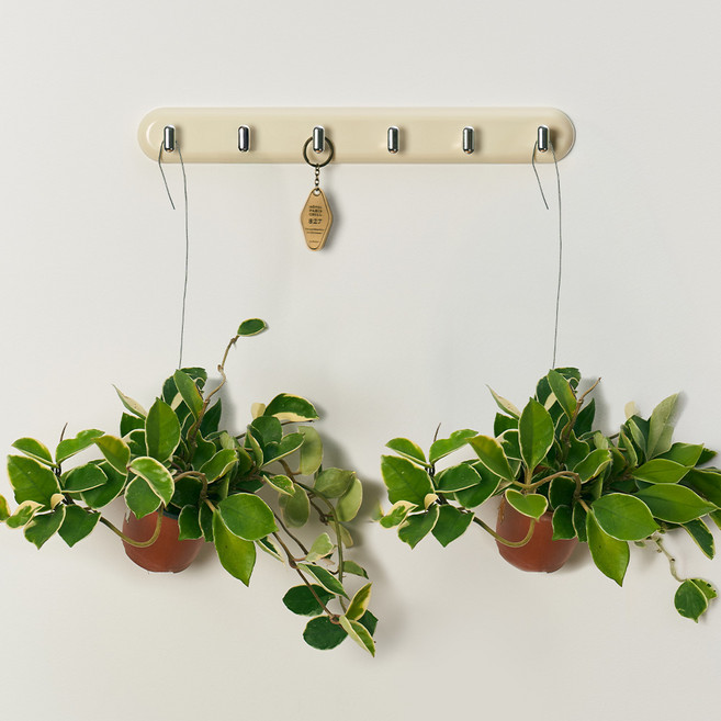 농업회사법인 주식회사 코코도르팜 행잉플랜트 소형 호야, 그린, 2개