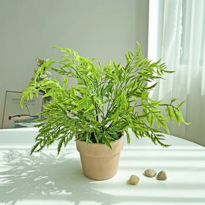 베누디 그리너리 보태니컬 화분 조화 9종, 파인고사리 + 조약돌랜덤발송, 1개