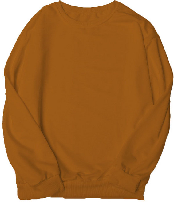 하이어리 남녀공용 세미 오버핏 무지 맨투맨