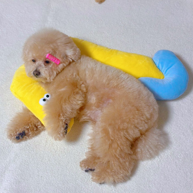 MAAH 반려동물 화살표 목베개, 엘로우, 1개