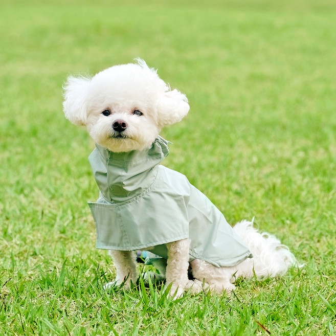 울리 강아지 망토 레인코트, 민트, 1개