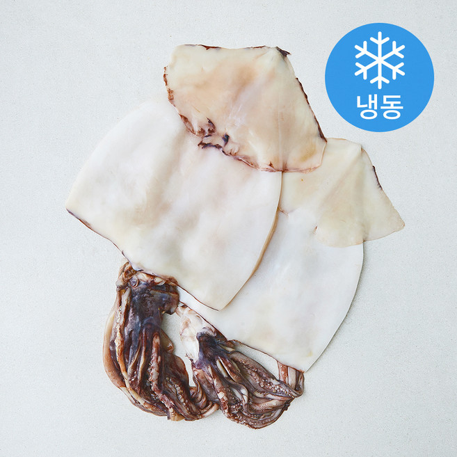 올프레시 껍질을 제거해도 두툼한 시그니처 손질오징어 (냉동), 1개, 700g