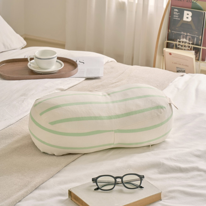 모던하우스 말랑핏 극세사 미니 멀티쿠션, 크림베이지