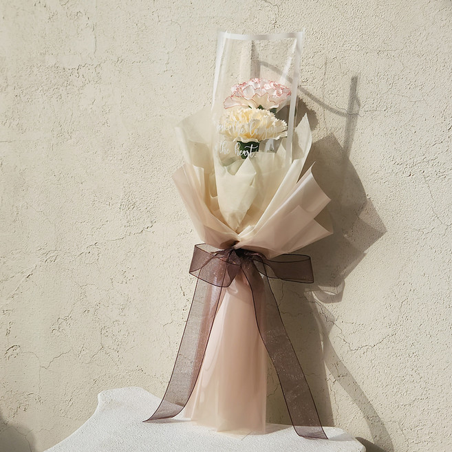 아스파시아 그림같은 꽃 서화 카네이션 2송이 꽃다발 + 쇼핑백, 아이보리, 1개